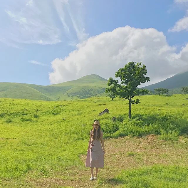 # 후쿠오카 근교 버스 투어: 유후인, 벳부, 히타, 다자이후 완벽 가이드